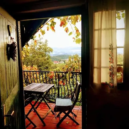 Vineyard Vercek Σπίτι διακοπών