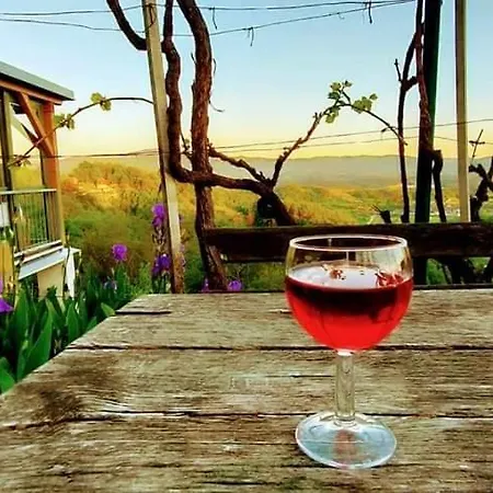 Prázdninový dům Vineyard Vercek Novo Mesto