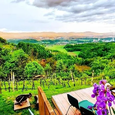 Vineyard Vercek Prázdninový dům
