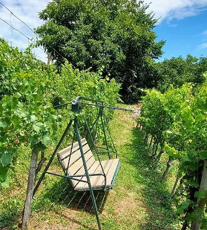 Vineyard Vercek Prázdninový dům Novo Mesto