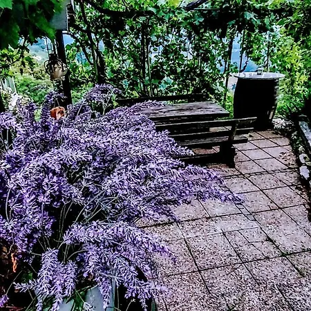 Σπίτι διακοπών Vineyard Vercek