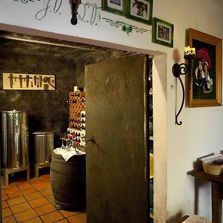 Vineyard Vercek Novo Mesto