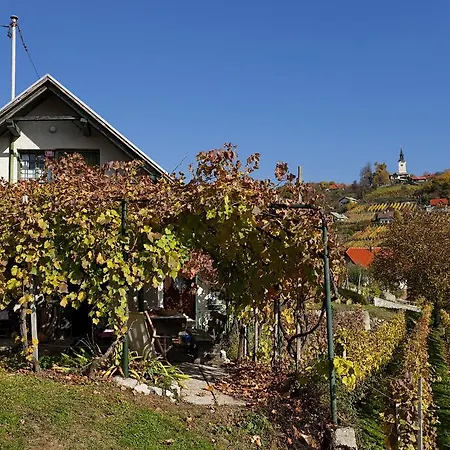 Vineyard Vercek *