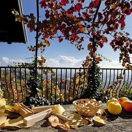 Vineyard Vercek * Νόβο Μέστο