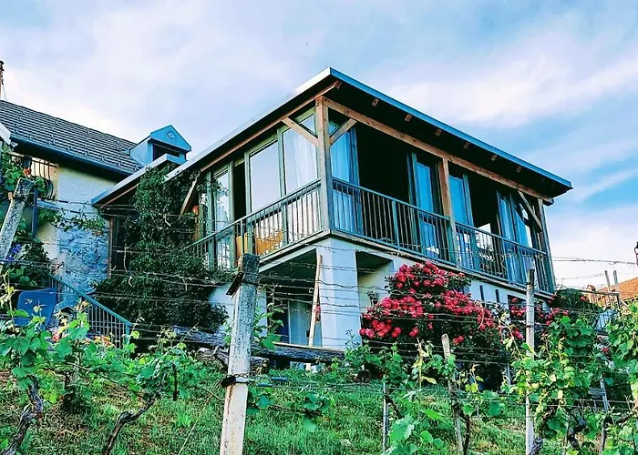 Vineyard Vercek 度假居