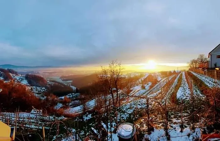 Vineyard Vercek Novo Mesto