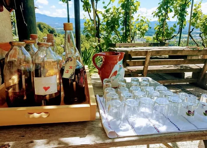 度假居 Vineyard Vercek 新梅斯托