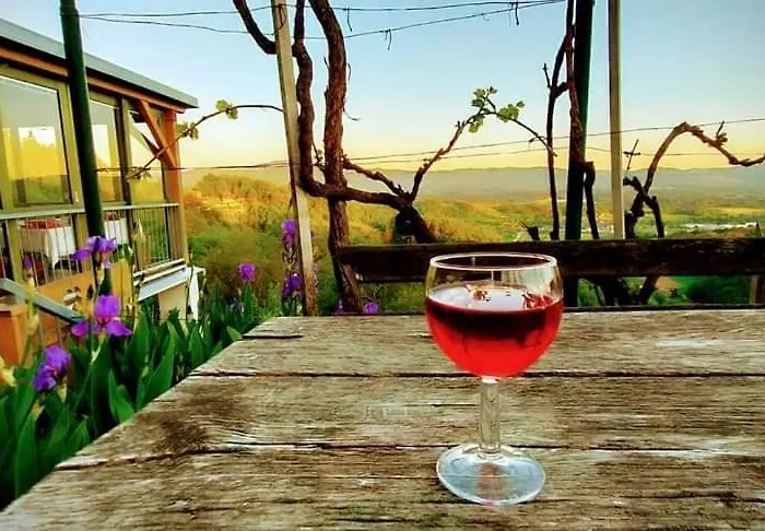 度假居 Vineyard Vercek 新梅斯托