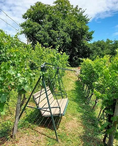 Vineyard Vercek Casa vacanze Novo Mesto