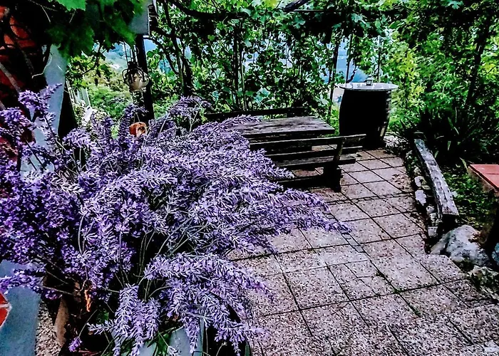 度假居 Vineyard Vercek