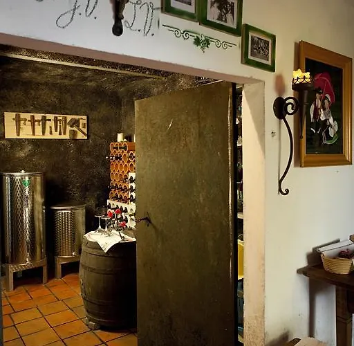 Vineyard Vercek 新梅斯托