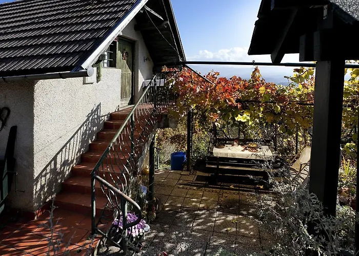 度假居 Vineyard Vercek *