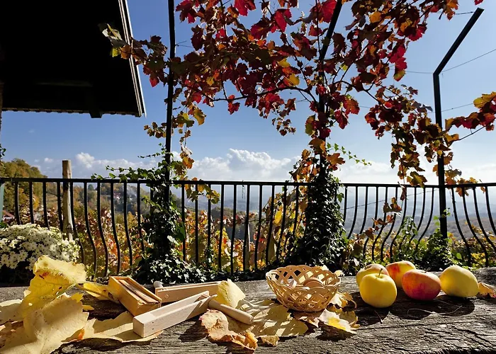 Vineyard Vercek * 新梅斯托